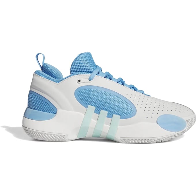 Basketbalschoenen adidas D.O.N. Issue 5