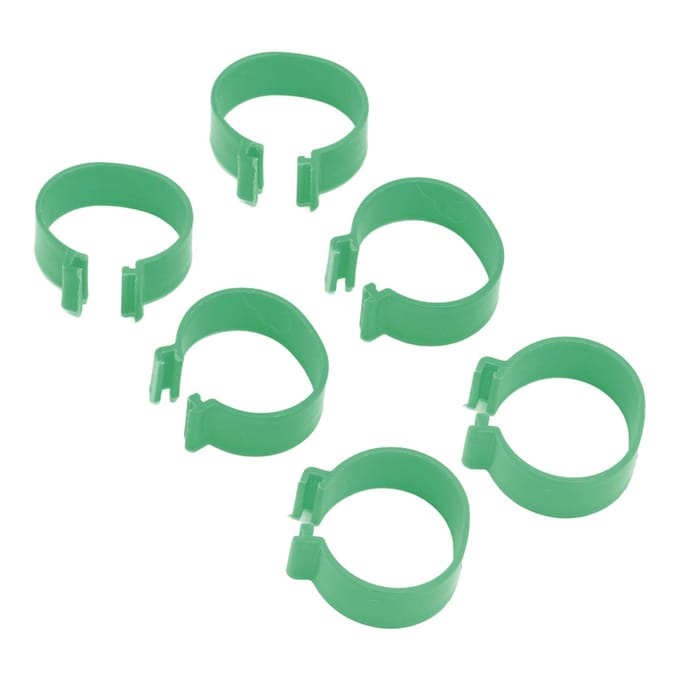 100 Stuks Pluimvee Voetring Open Type Gesp Kweek Kip Eend Gans Voetring Kip Accessoire 20mm / 0.8in groen