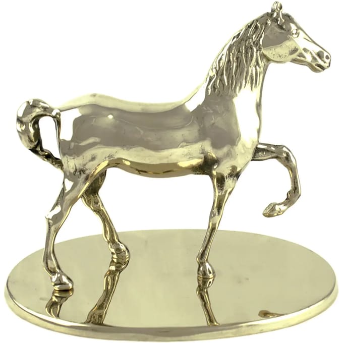 Messing trofee Umbria Equitazione