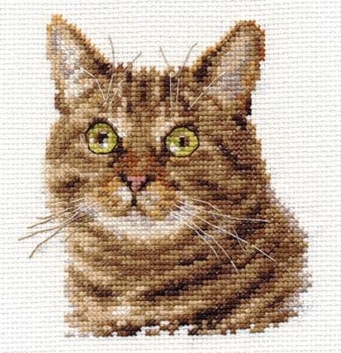 Alisa Borduurpakket kat