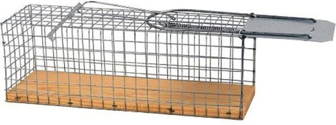Ratten vangkooi