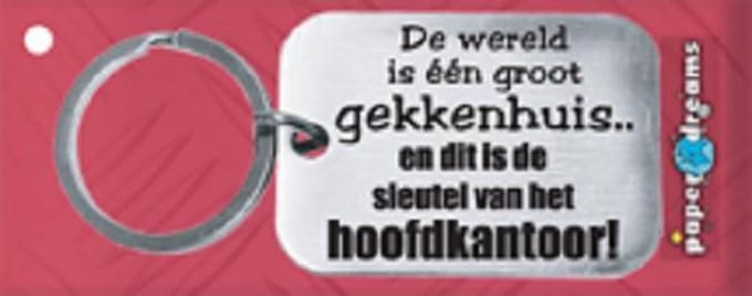 Paper Dreams | RVS Sleutelhanger | De wereld is een groot gekkenhuis!