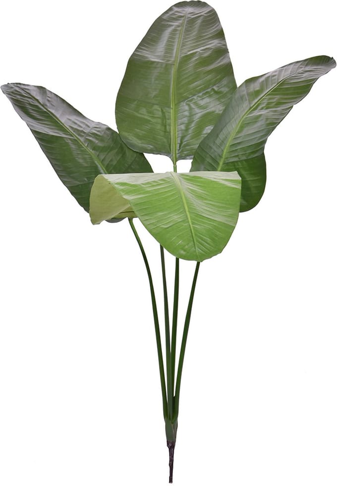 Strelitzia Nicolai deluxe Kunstpalm Bush 160cm