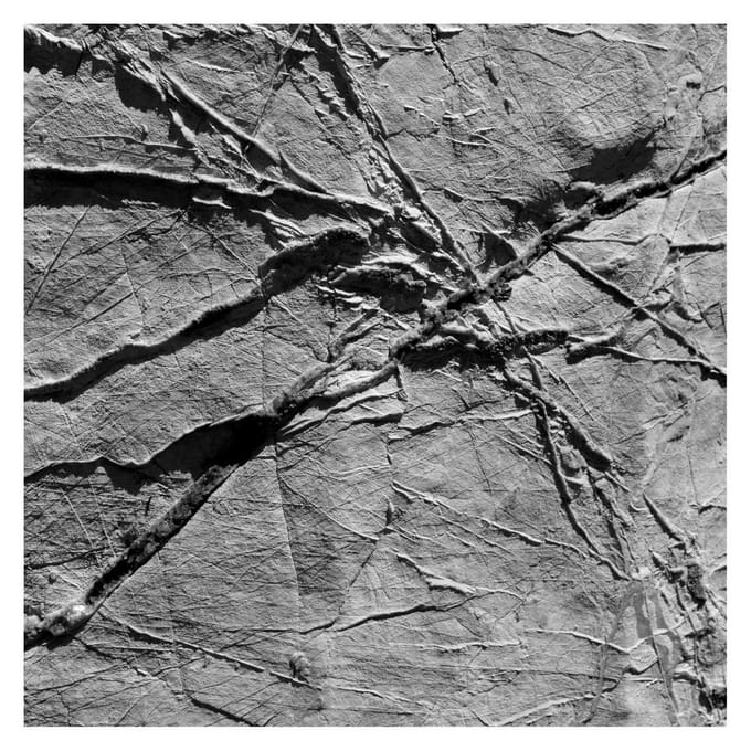 Various Artists - Arachnesound (CD)