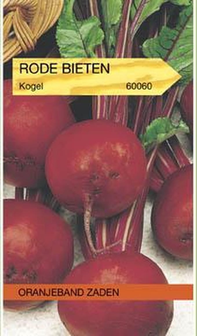 Rode Biet Kogel 2