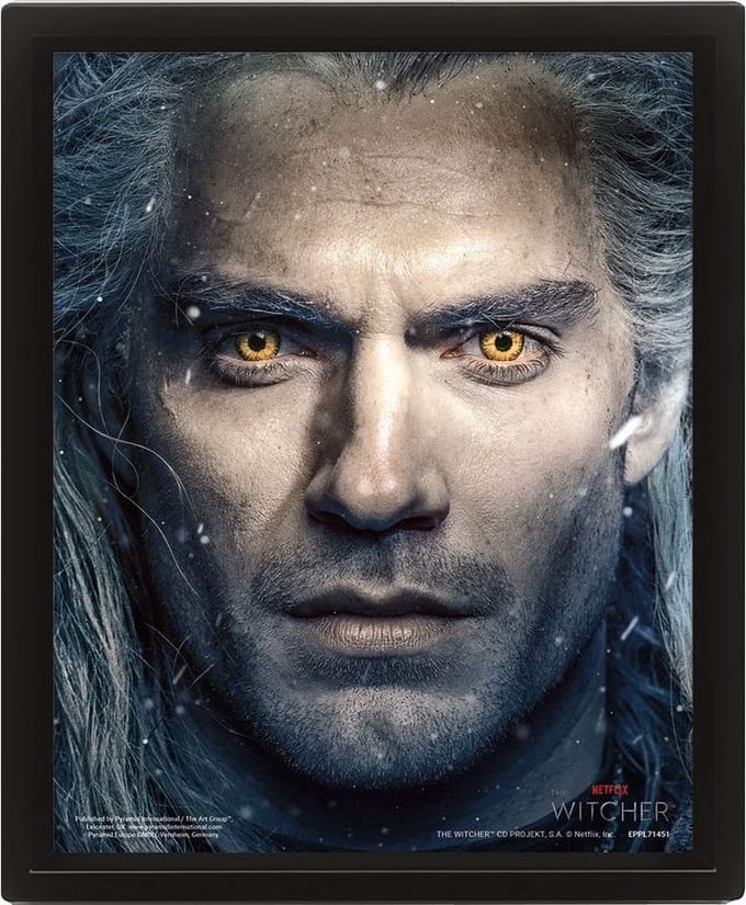 The Witcher Framed 3D Effect Poster 26 x 20 cm