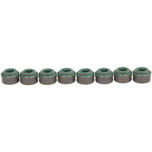 Pakkingset, klepsteel PAYEN HR801