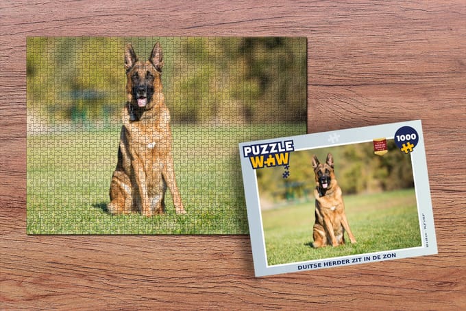 Puzzel Duitse Herder zit in de zon - Legpuzzel - Puzzel 1000 stukjes volwassenen