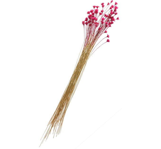 Hillflower - Rozig