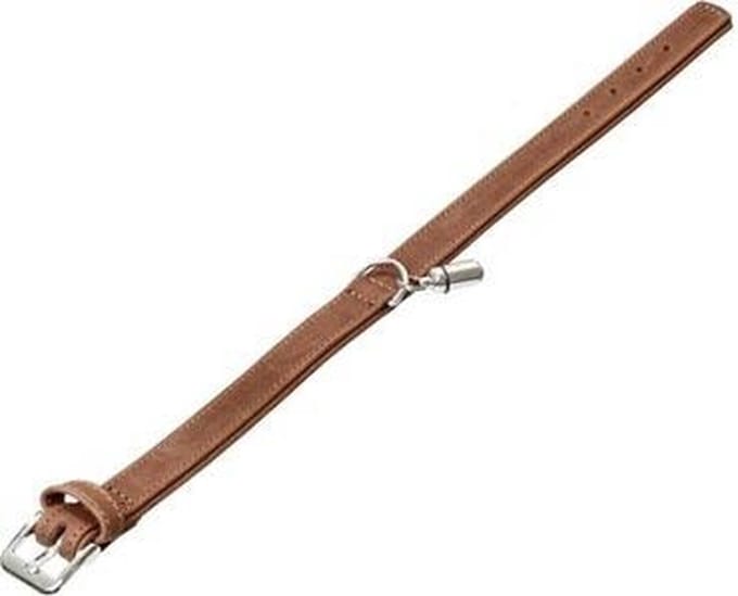 Karlie halsband buffalo bruin