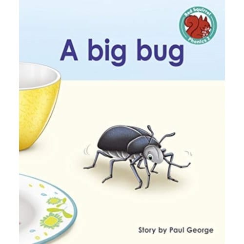 A Big Bug - Red Squirrel Phonics Level 2 - Paul George
