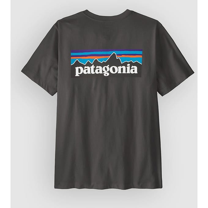 Patagonia P-6 Logo T-Shirt zwart