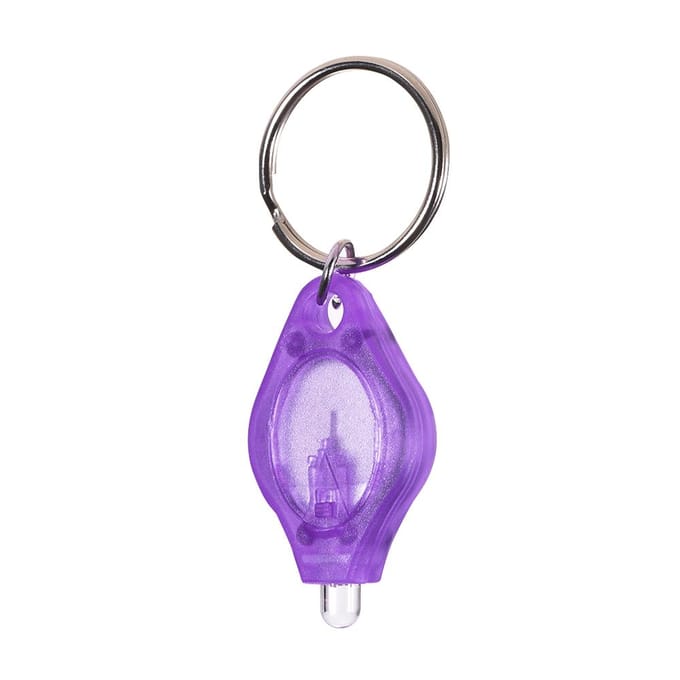 10*Mini draagbare sleutelhanger licht zaklamp sleutelhanger licht zaklamp UV-controle 10 pcs paars