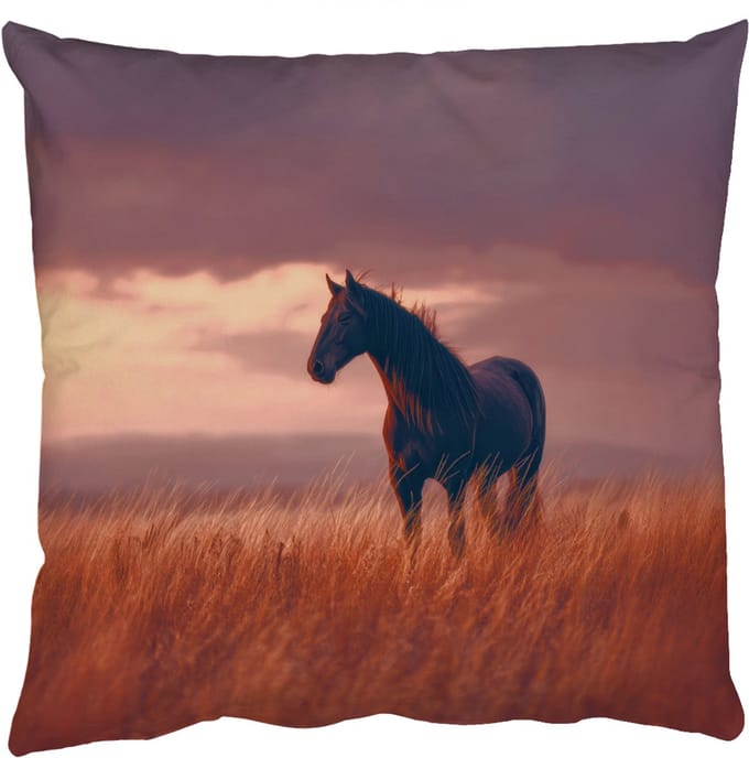 Sierkussens - Kussentjes Woonkamer - 45x45 cm - Paard - Wolken - Open veld