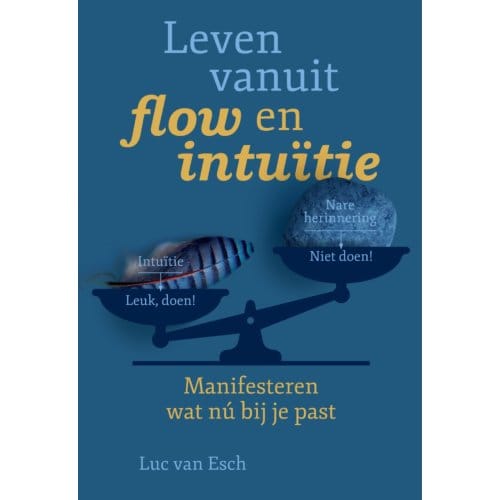 Leven Vanuit Flow En Intuïtie - Luc van Esch