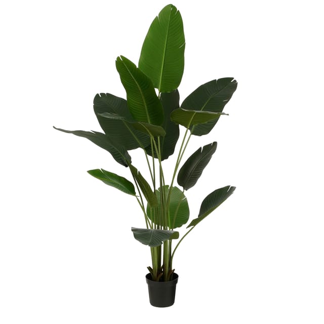 Mica Decorations Bananenboom in Pot - Kunstplant - Groen - 30x30x180 cm