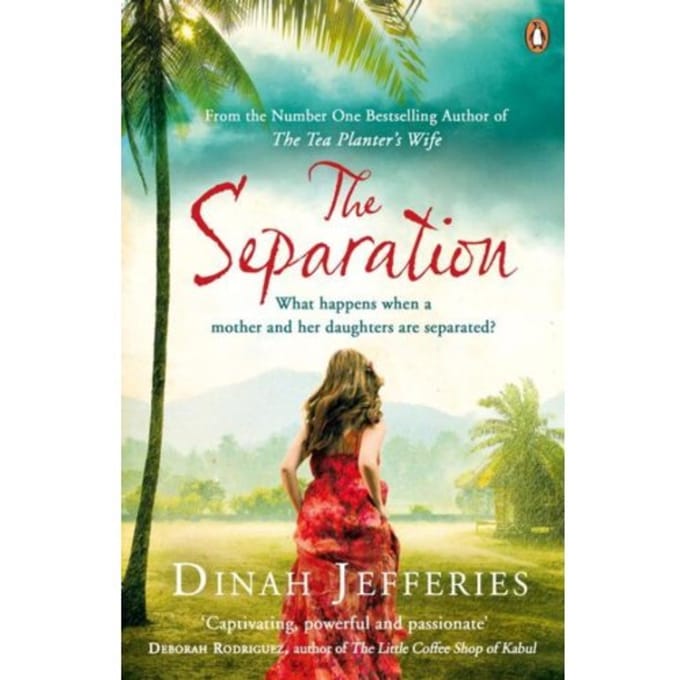 The Separation - Dinah Jefferies