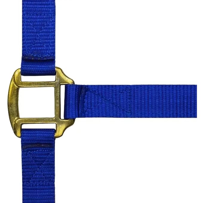 Halster voor paarden Norton Doublé cuir