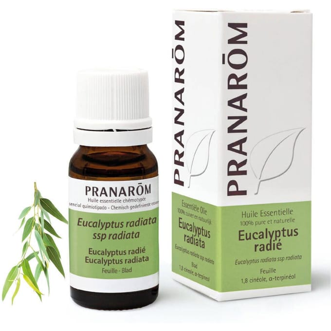 Pranarôm Etherische Olie Eucalyptus Radiata | Luchtwegen 10 olie