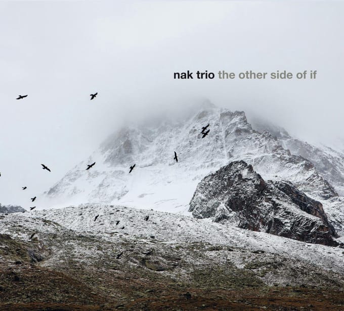 Other Side Of If - Nak Trio