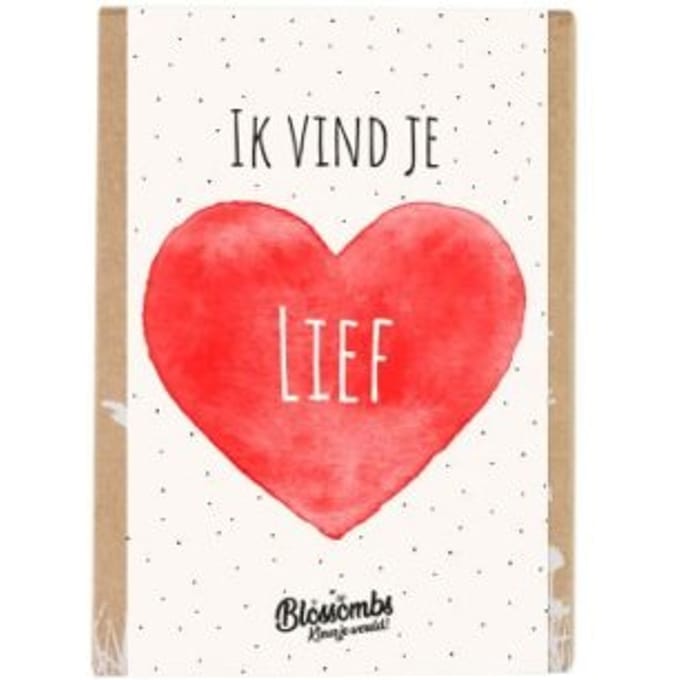 Blossombs Bloembommetjes Giftbox Mini - 4 Zaadbommetjes - Ik Vind Je Lief - Valentijnscadeau