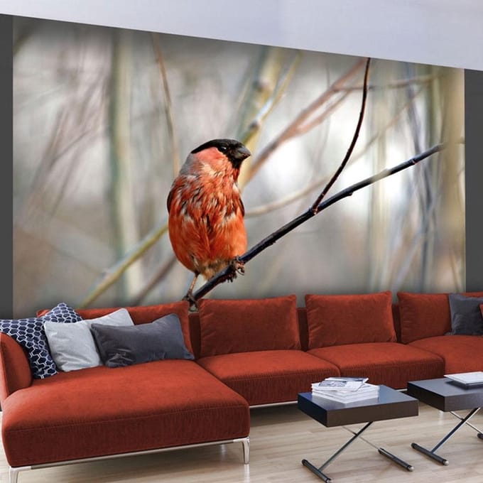 Fotobehang - Bullfinch in the forest