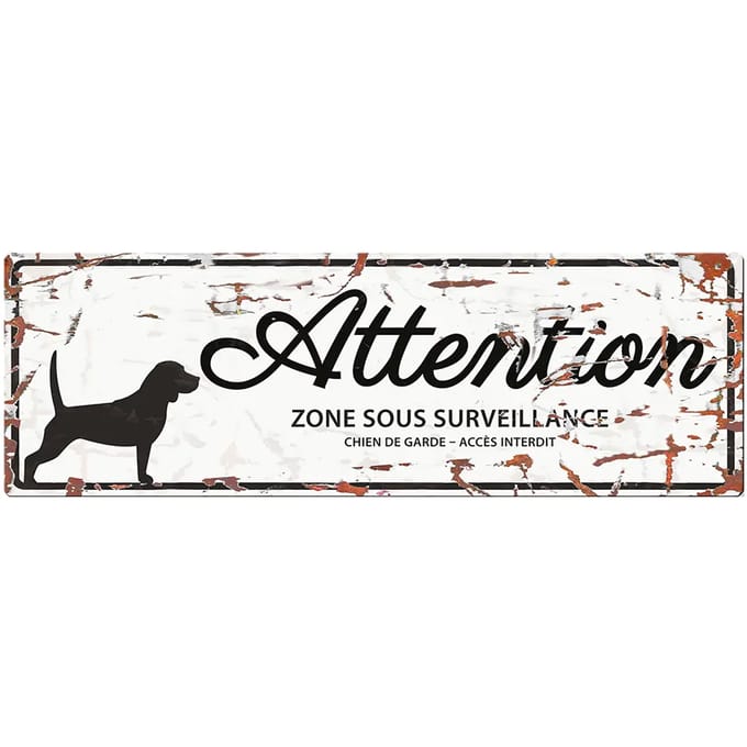 Waarschuwingsdisplay D&D Home Square Jack Russel F