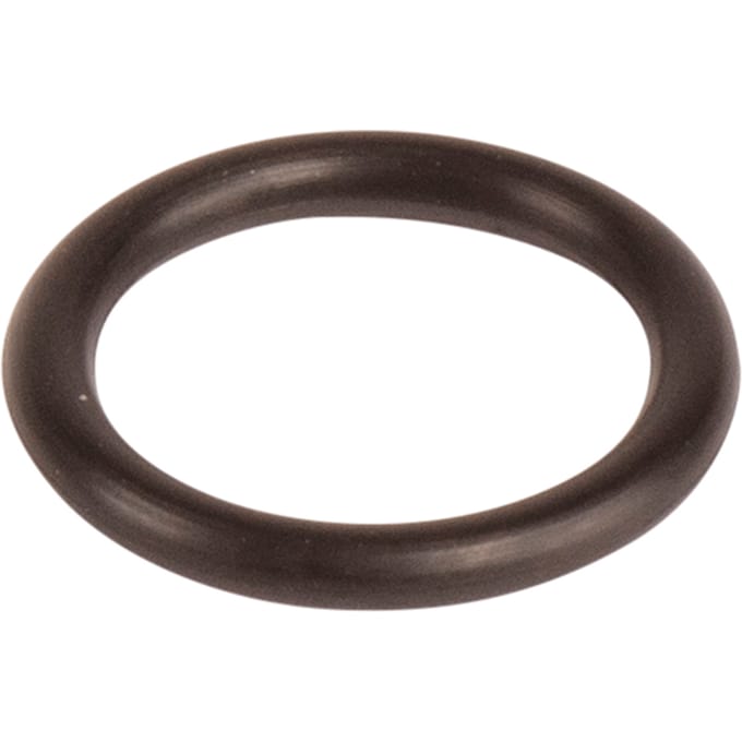 O-ring