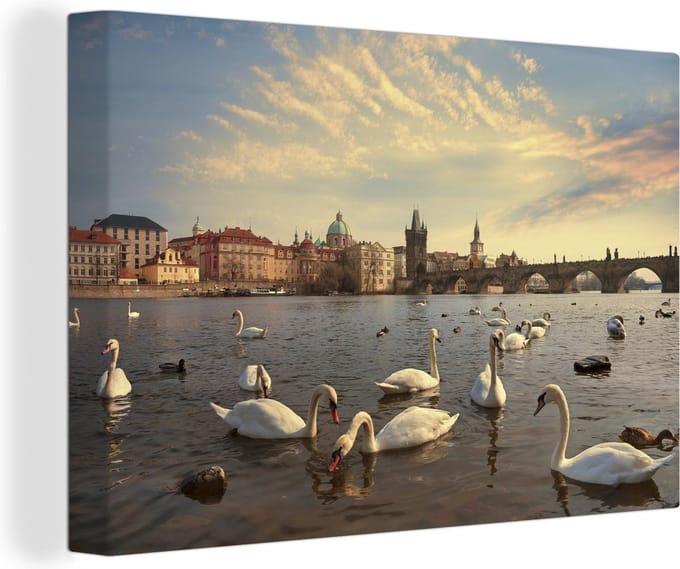 Canvas Schilderij Praag - Zwaan - Water - 30x20 cm - Wanddecoratie