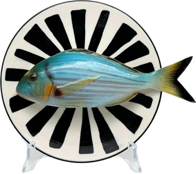 Orata op een wit bord met zwarte decoratieve strepen, 20cm.