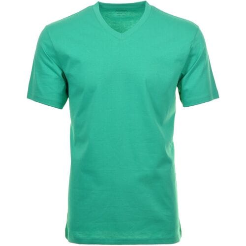 Ragman T-Shirt Uni V-Neck Single Jersey Groen / male