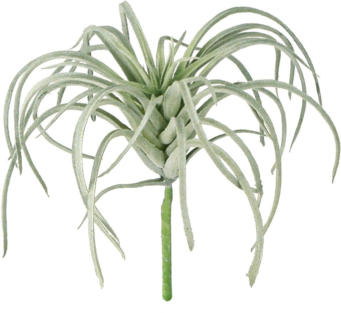 Tillandsia succulente kunstgroene planten 13cm