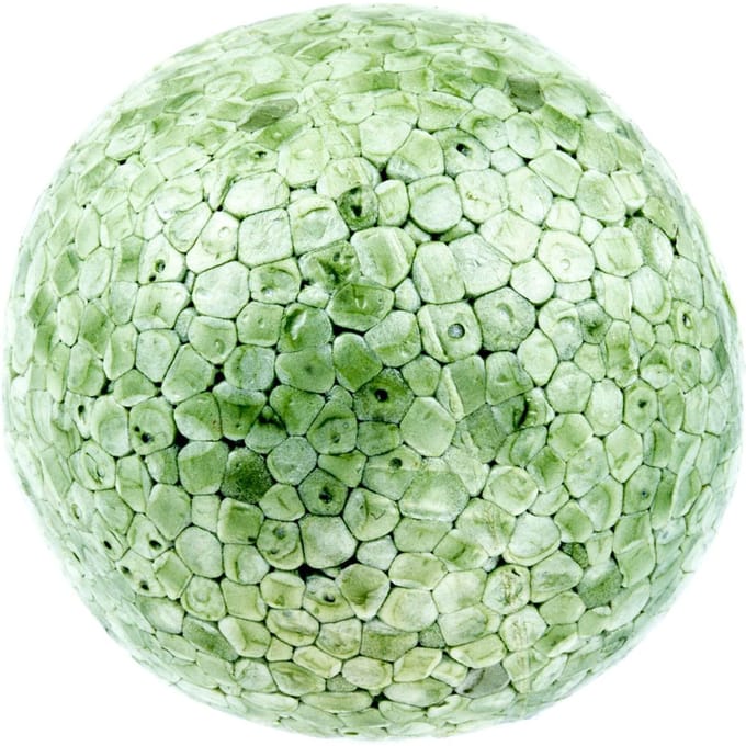 Bal-indicator