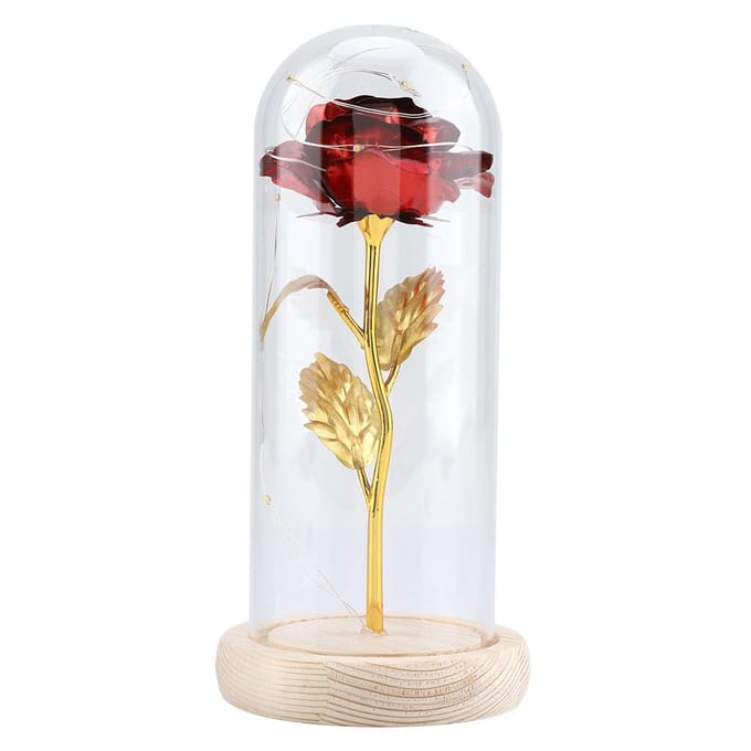 Bewaarde Roos Bloem LED Lamp met Glazen Deksel & Houten Basis Valentijnsdag Bruiloft Rood rood