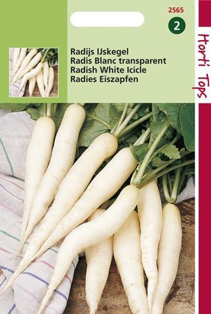Hortitops Zaden - Radijs IJskegel, Lange Witte