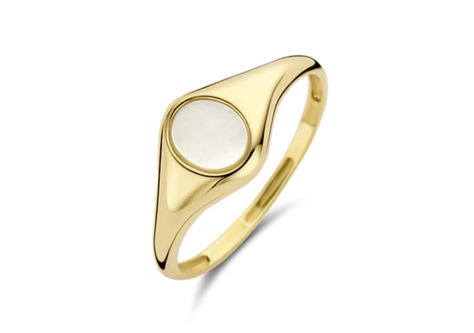 Blush Dames Ring Goud - Goudkleurig - 16.50 mm / maat 52