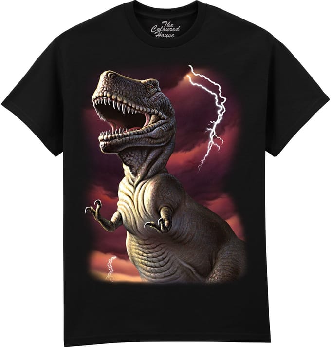 Dinosaurus Lightning Rex The Coloured House T-shirt S