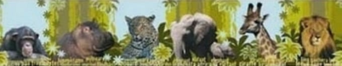 Wilde dieren behangrand stoer natuur NATIONAL GEOGRAPHIC