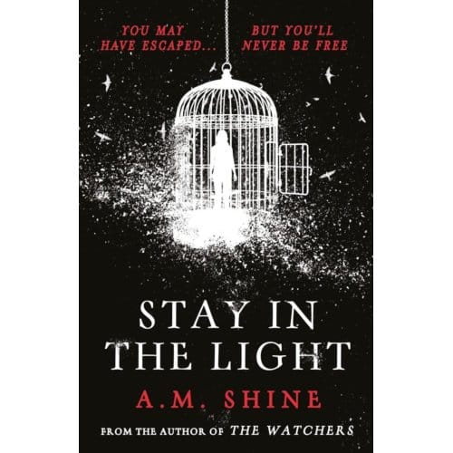 Stay In The Light - A.M. Shine