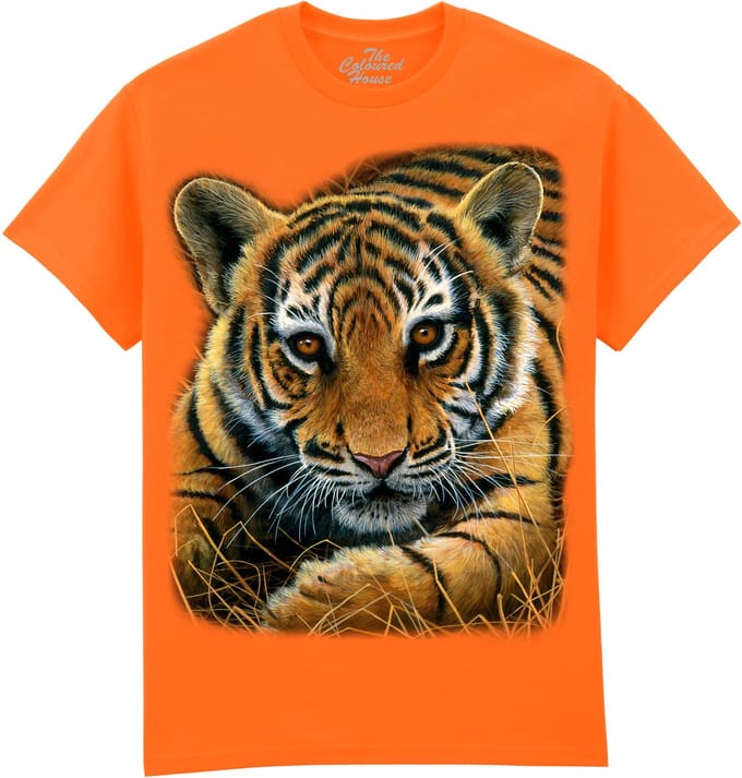 Tijger Tiger Cub The Coloured House T-shirt M