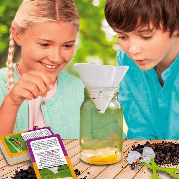 Lisciani - Science - a la decouverte des insectes - Fr