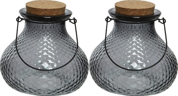 Decoris wespenvanger/wespenval - set 2x - glas - grijs - D14 x H13 cm