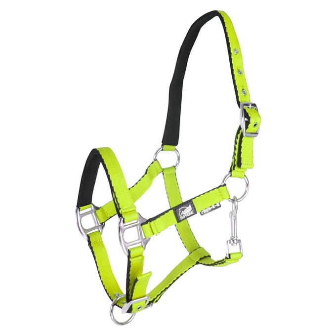 Halsband voor veulen met dubbele afstelling Supreme