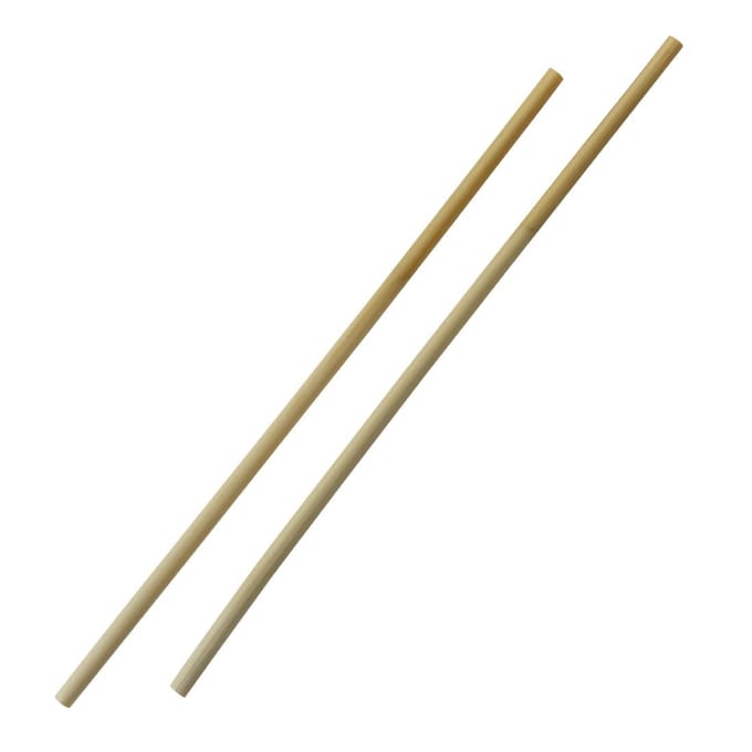 Sier Disposables Rechte Rietje ø 6-8 mm / 25cm (50 stuks)