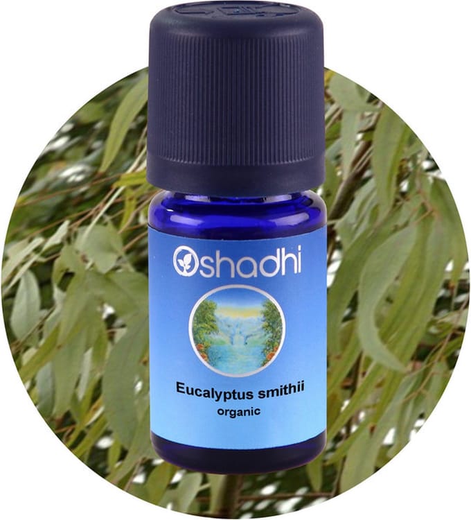 Etherische olie, Eucalyptus, Oshadhi, 5 ml