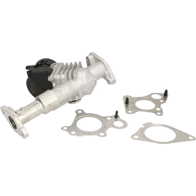 EGR-klep DELPHI EG10488-12B1