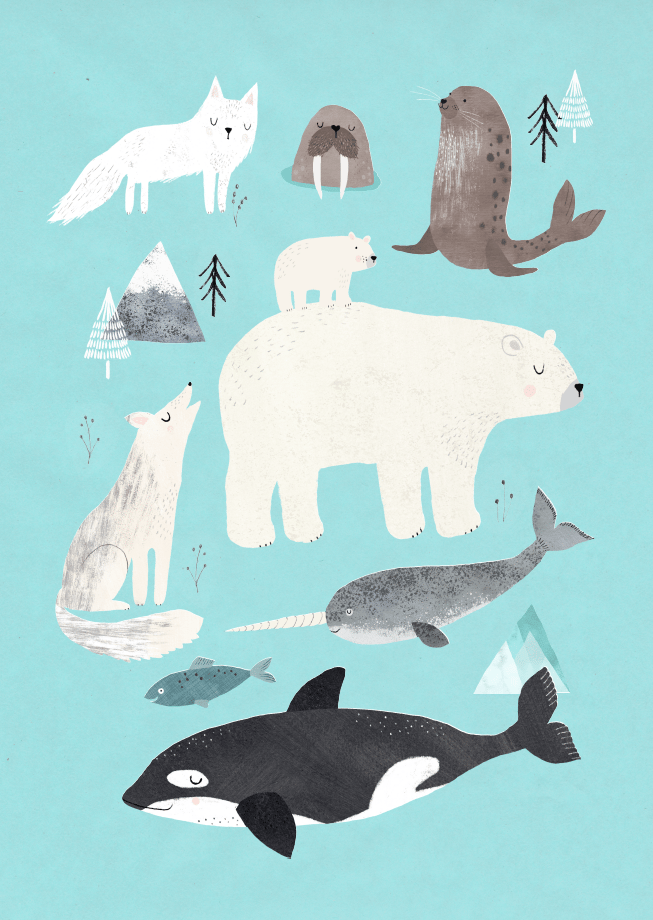 Petit Monkey poster Artic Animals 50 x 70 cm