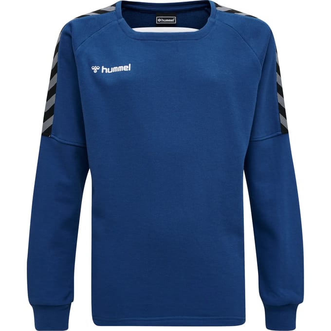 Junior Sweatshirt Hummel hmlAUTHENTIC Training