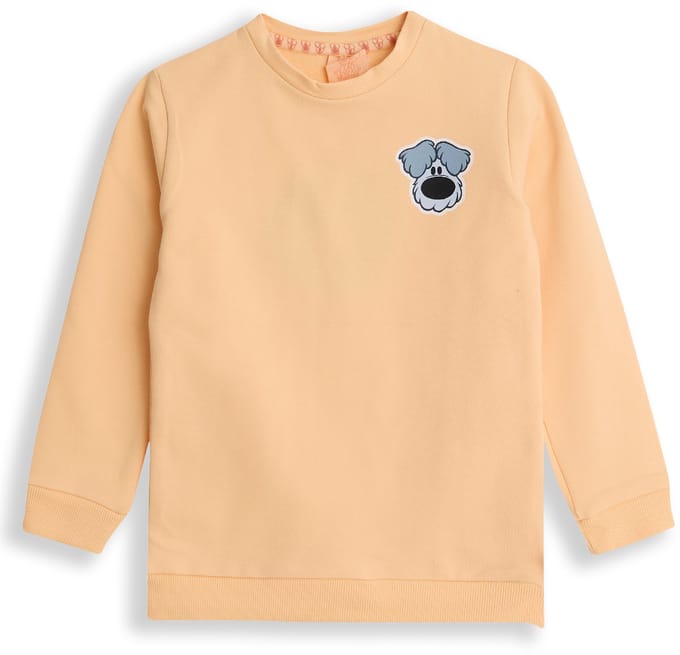 Woezel & Pip Sweater jongens - Perzik - Maat 74/80 - Jongens trui