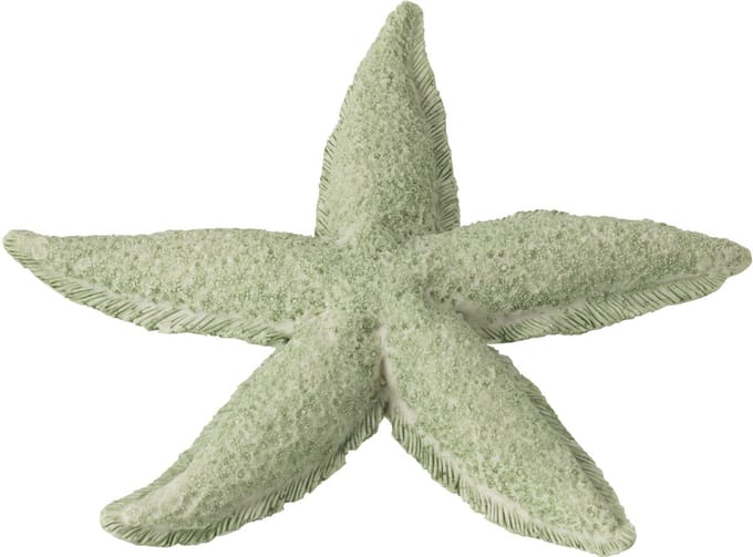 J-Line decoratie Zeester - polyresin - muntgroen - small - 2 stuks